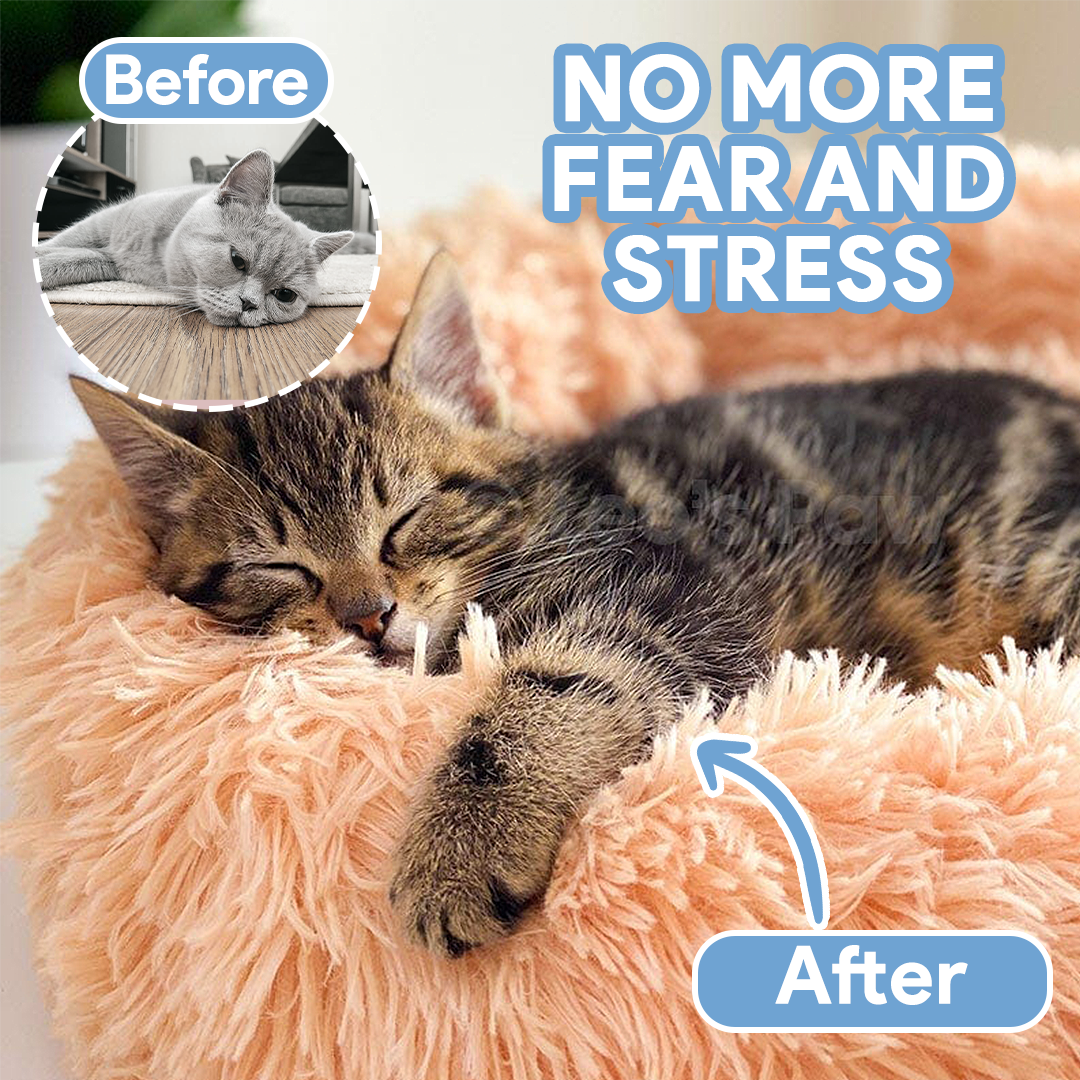 Cozy Plush Cat Bed | Ultra-Soft Calming Retreat | Non-Slip Design for Anxious Cats